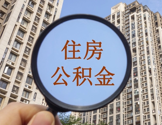 海南退休后查不到公积金明细了吗（退休后公积金查询不到原因）